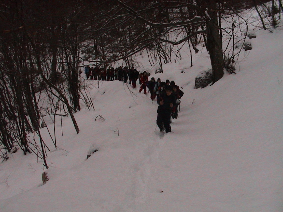 foto di montagna