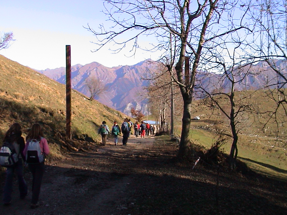 nella zona di Pian della fontana