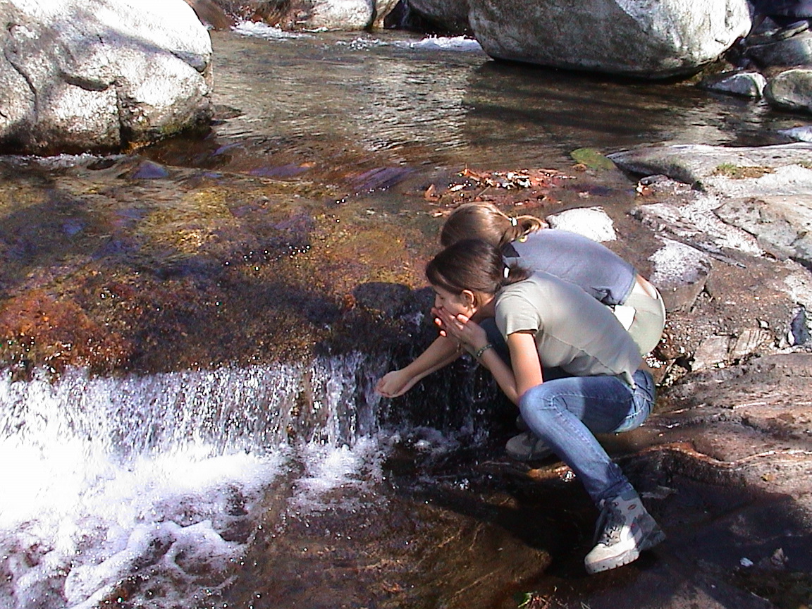 ci si disseta lungo il torrente